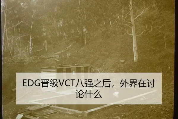 EDG晋级VCT八强之后，外界在讨论什么 | bwin